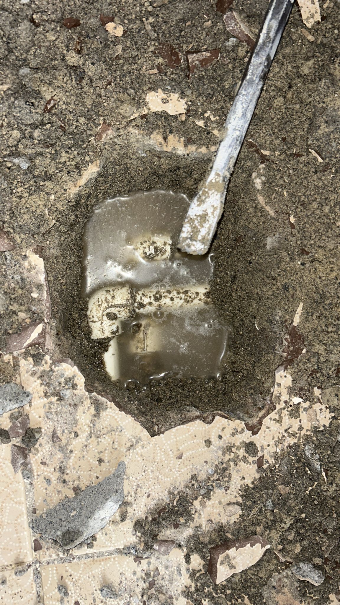 WhatsApp Image 2025-08-05 at 20.22.51